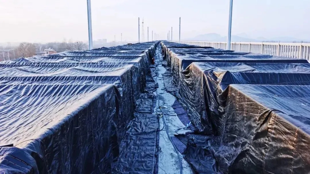 640.webp (3).jpg 640.webp (3).jpg