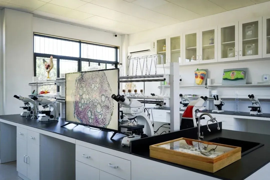 中国建筑援洪都拉斯农业学校项目助力当地农业教育2.jpg 中国建筑援洪都拉斯农业学校项目助力当地农业教育2.jpg